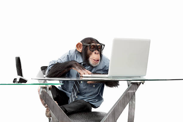 Seeing a monkey in a dream is auspicious or inauspicious?